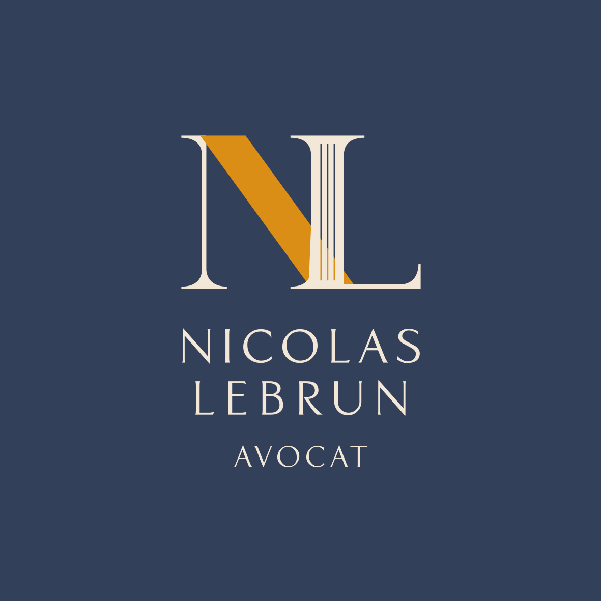 Nicolas Lebrun – Avocat à Lyon